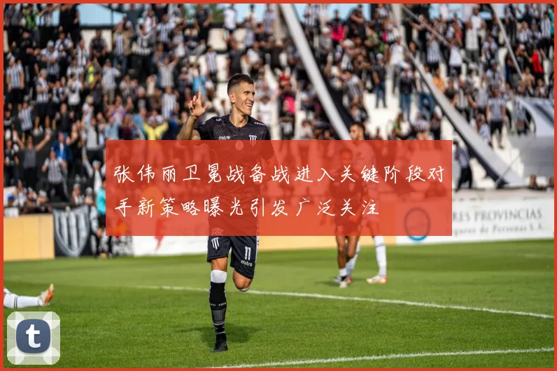 张伟丽卫冕战备战进入关键阶段对手新策略曝光引发广泛关注